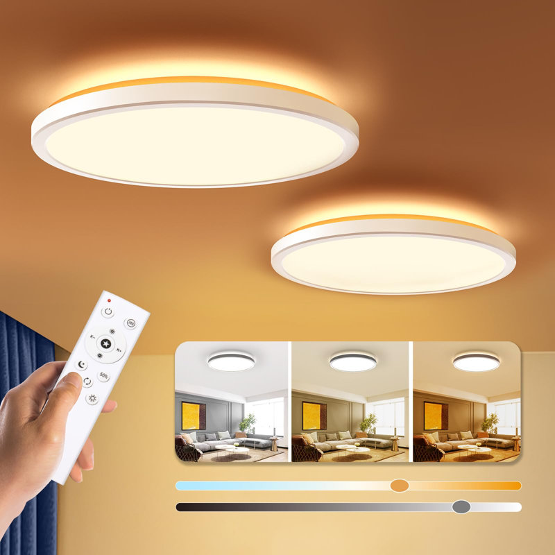 12" LED Flush Mount Ceiling Light 2 Pack, Dimmable with Remote