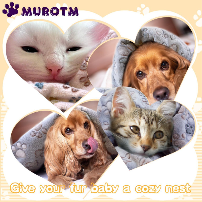 Couverture pour animal