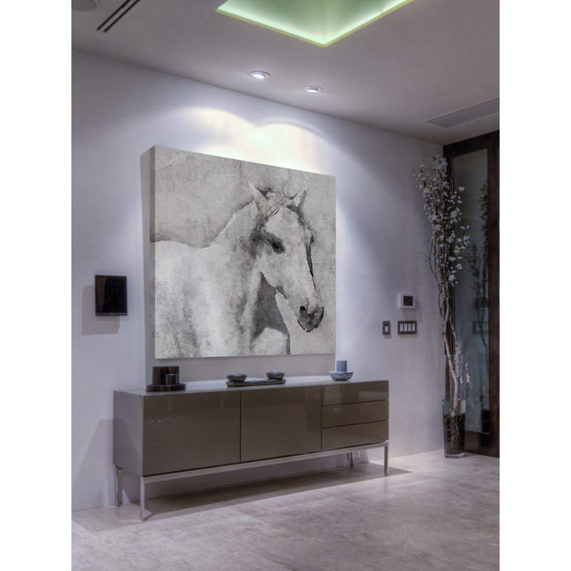 « gray élégant cheval », impression sur toile, H 24 po x l 24 po, Toile tendue