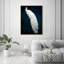 Habillé de plumes - impression-72500299-119403335-72500298