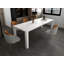 Danariah Extendable Dining Table