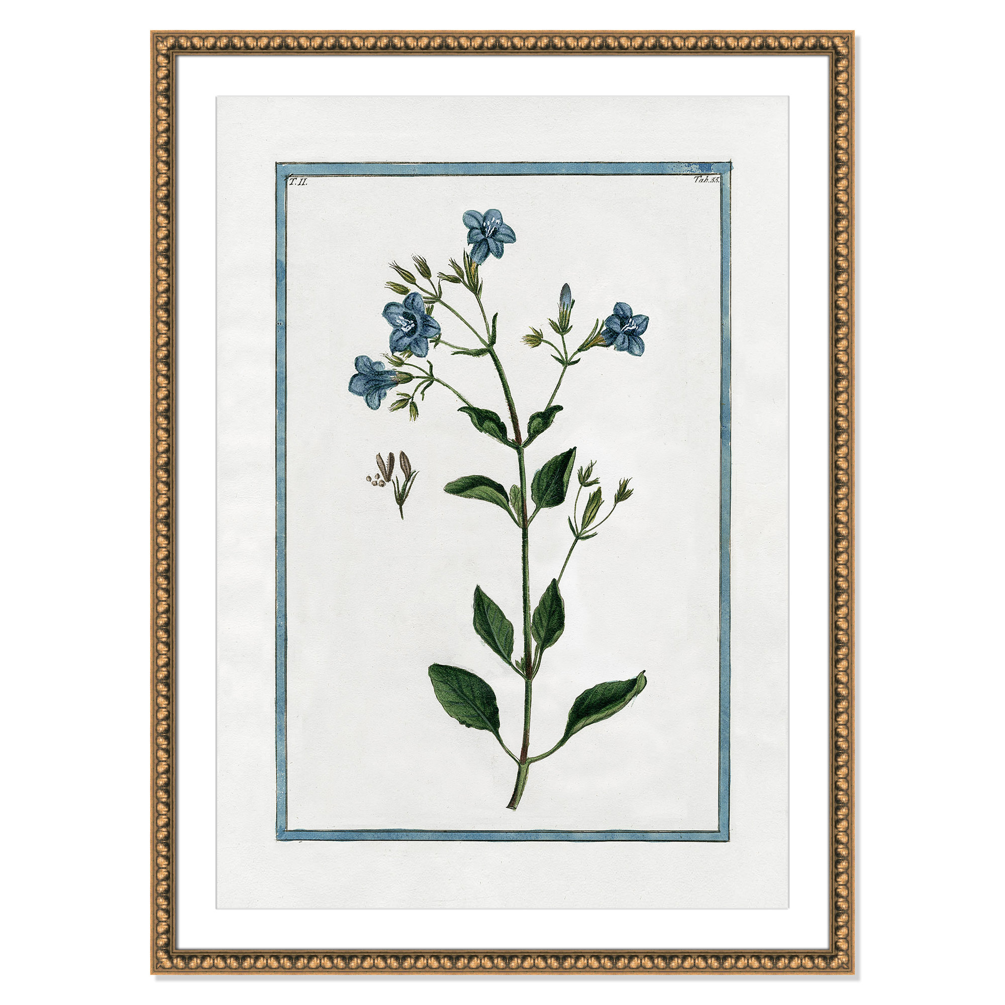 Shabby Elegance Botanical II - Framed Art, 30.5" W x 42.5" H, Gold Bead Framed