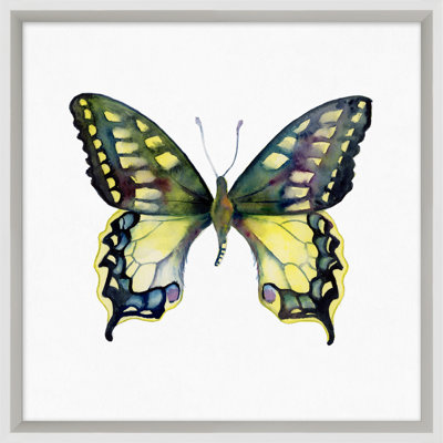 Butterfly Study 8' Framed Graphic Art Print on Glass