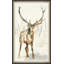 Silent Wonder 1 Framed Print