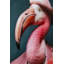 Mister Flamingo Print on Glass