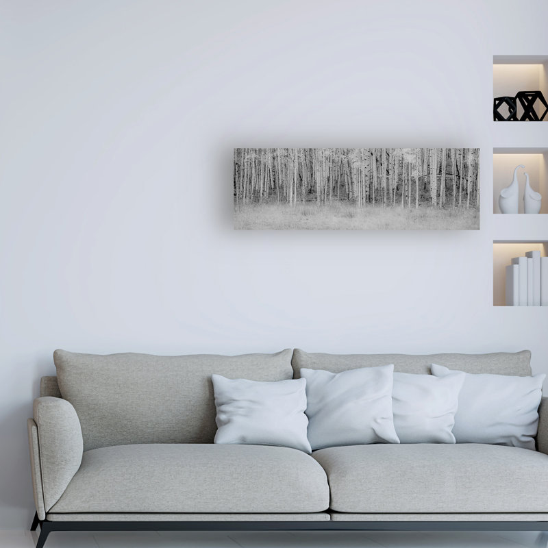 «Black and White Birch» par Dan Ballard, reproduction de photo sur toile tendue, H 6 po x l 19 po x P 2 po