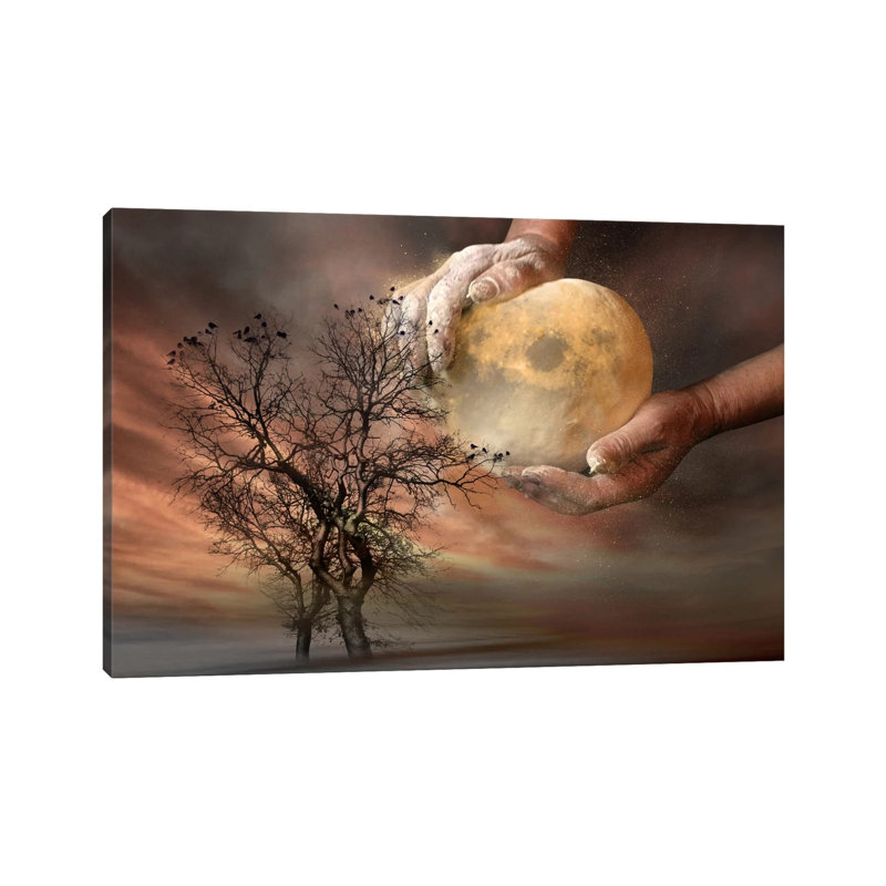 Elisaveta Jordanova - Wrapped Canvas Print, 20.32cm H x 30.48cm W x 1.91cm D