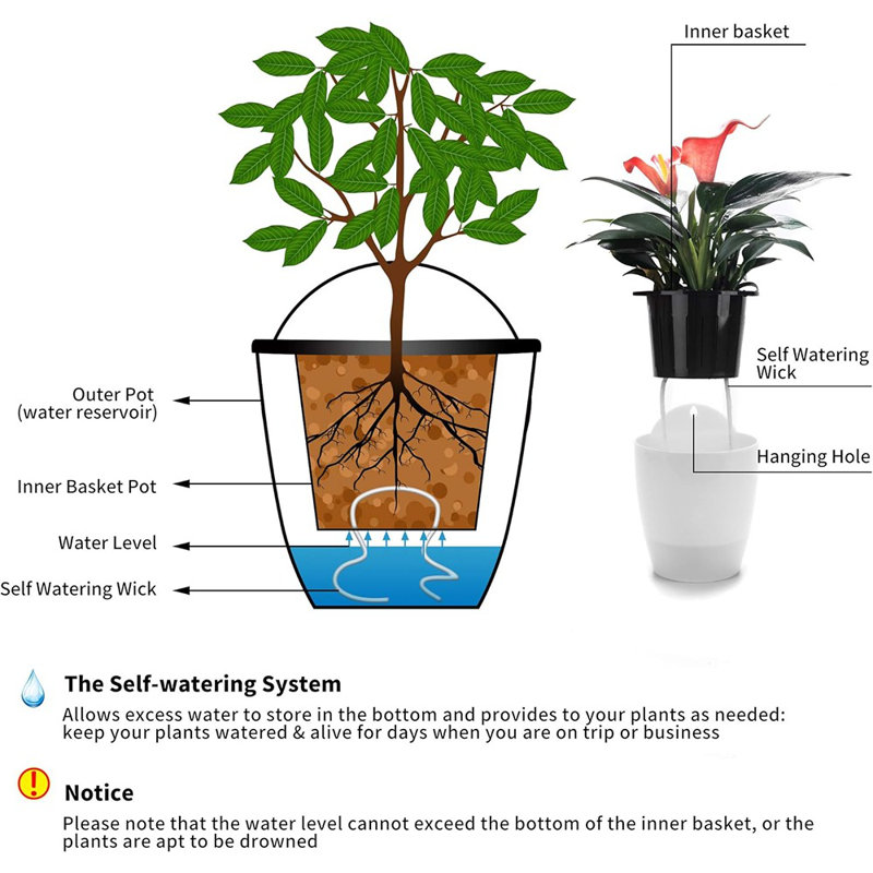 Suspension de plante