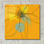 Epic Art «Orange Lite 2» par Jan Weiss, verre acrylique «Orange Lite 2» par Jan Weiss-101769588