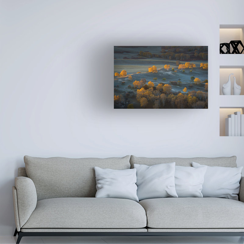 Art sur toile C. C. Mei Prairie Light, H 16 po x l 24 po