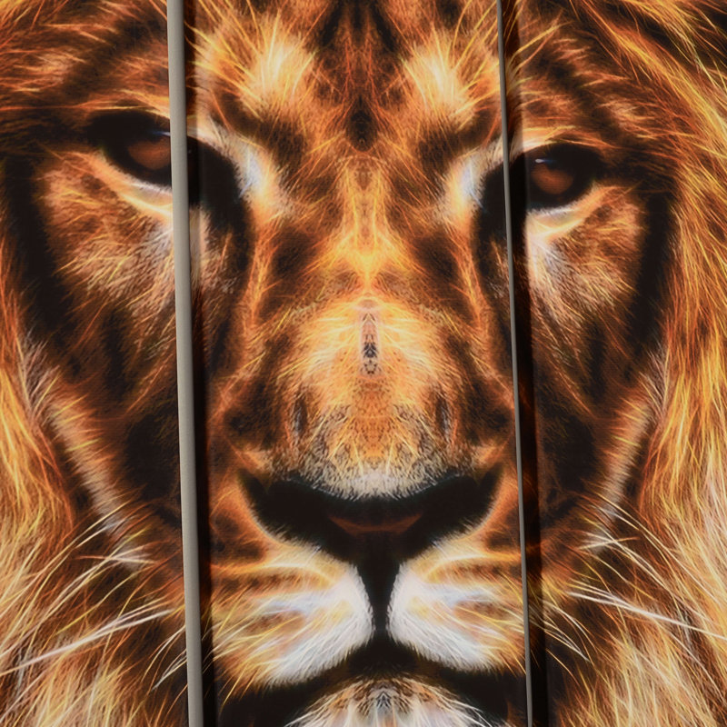 Animal lion, ensemble de 5 impressions sur toile Hear Hear Roar