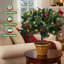 1.8' H Artificial Pine Christmas Tree