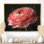 Monochrome Ranunculus Frozen Beauty II - Ranunculus Wall Decor