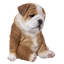 Sitting Sleepy Bulldog Puppy Statue-89098806