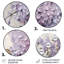 «Beautiful Lilac Dreamscape I», art mural floral rond en métal-109695100