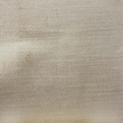 Textured Solid Velvet | Namur Fabric