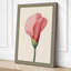 Pink Carnation Study Botanical - Wrapped Canvas-1805172491-1805172498