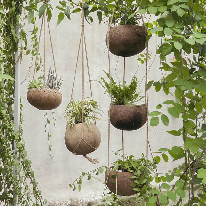 Rainforest Bowls 3-Tier Coconut Hanging Planter, 4