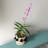 Dakota Fields Decorative Basket-1470425687