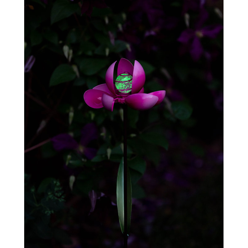 Piquet de jardin Plants & Flowers, Rose