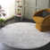 Emigsville Performance Performance Abstract Rug