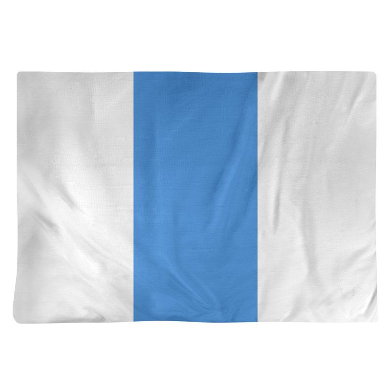 Récapitulatif 18" à rayures de football Houston, Blanc / Bleu