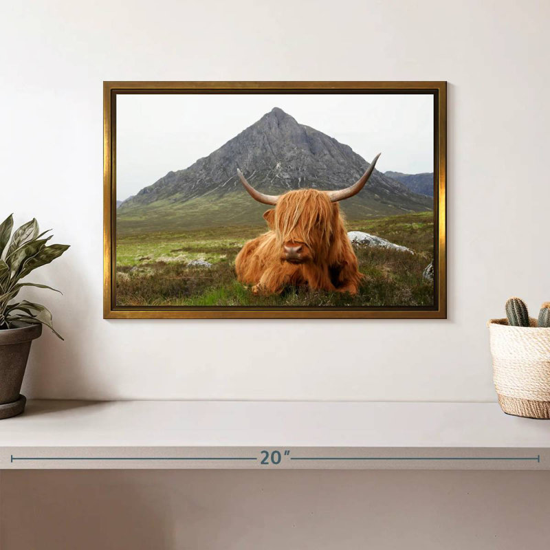 Highland Cow Serenity, Cadre flottant doré, 31 po x 21 po
