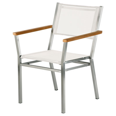 Equinox Dining Armchair