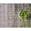 Tapis d'extérieur Iris couleur forêt-1078893876