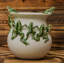 Censurado Ceramic Planter