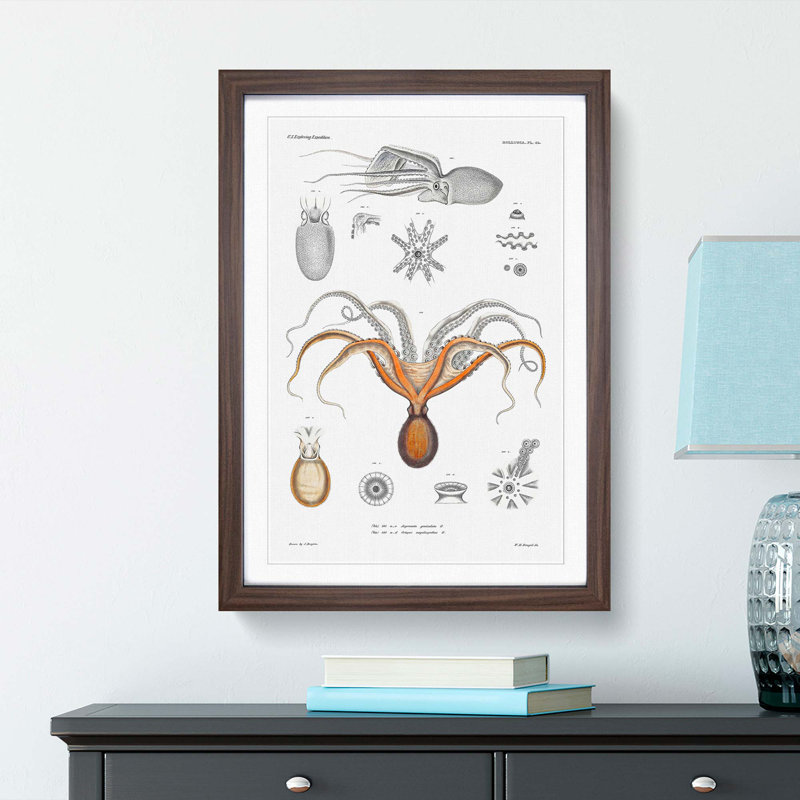 Red Octopus by A.A. Gould - Picture Frame Painting Print, 36cm H x 27cm W x 2cm D, Walnut Framed