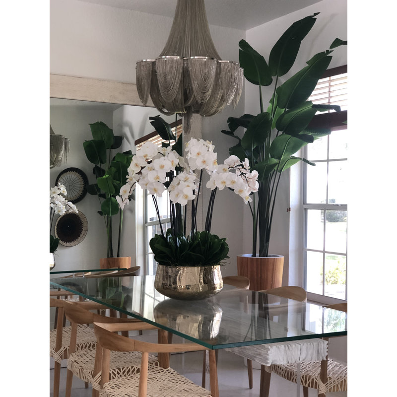 Roberi bowl with multiple stems of white Phalaenopsis orchids, 38" H x 22" W x 22" D, White