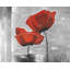 Napperon gris floral en polyester | Deux fleurs rouges