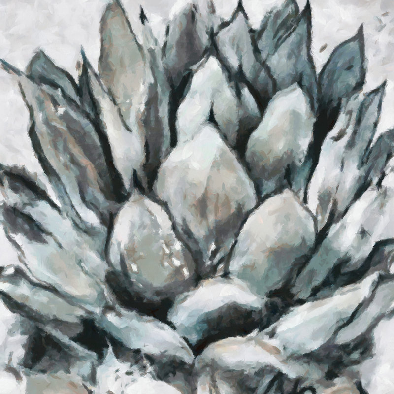 " Cereus Echeveria ", 20" H x 20" W x 1.5" D