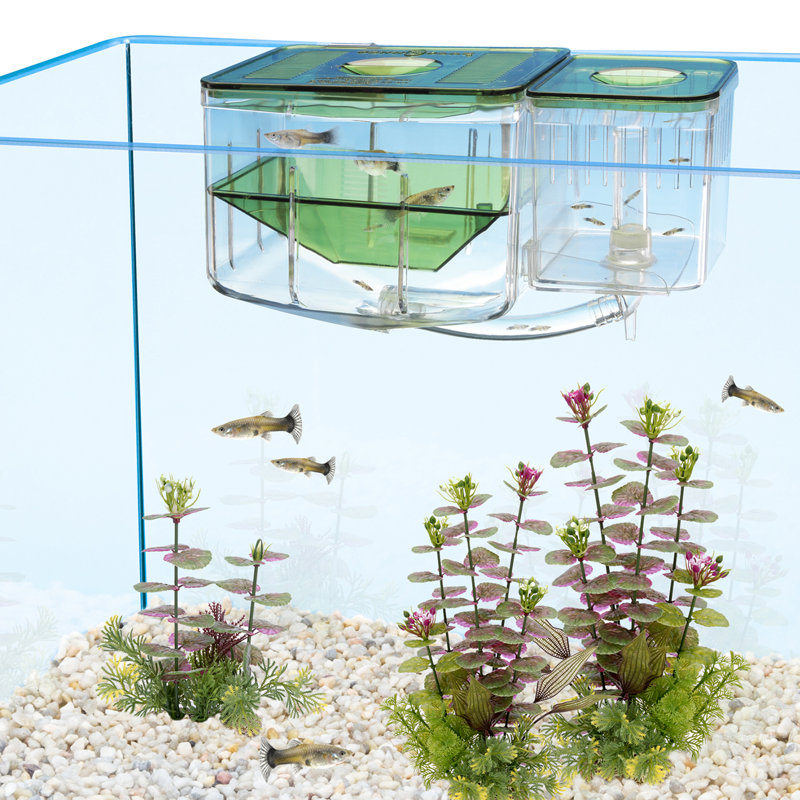 Décoration pour aquarium Eli Peace