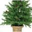 Sapin de Noël artificiel vert 4 pi avec 200 lumières multicolores et base en métal Noble