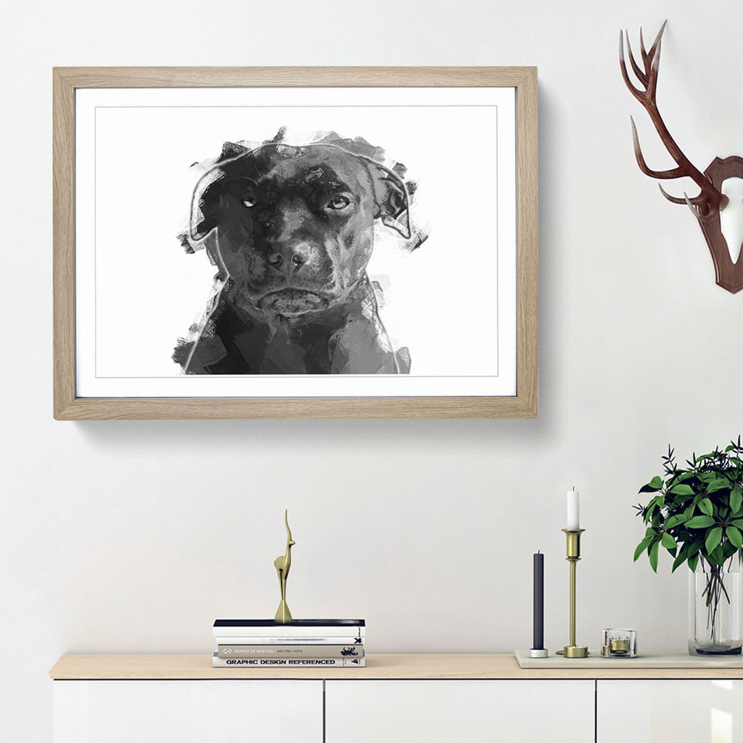 Staffordshire Bull Terrier Dog in Abstract - Framed Print