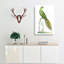 Ground Parrot by George Shaw - Wrapped Canvas-55304421