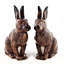 Salt And Pepper - Rabbit - Hare