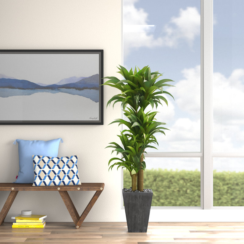 Plante artificielle 50,25 po Dracaena en pot