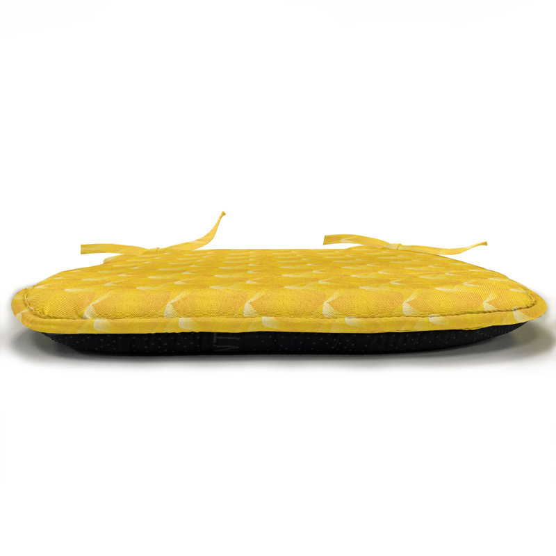 Chair Pad Cushion