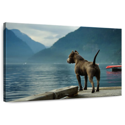 Bram Bull Pierside Pit Bull