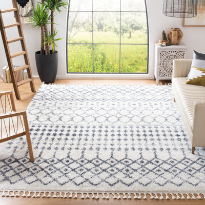 Lia Fringe Shag Performance Southwestern Rug