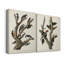 Pl. 417 Marias Woodpecker, toile tendue avec châssis - Prêt à accrocher-854823332