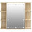 700mm W 600mm H Surface Framed Medicine Cabinet Mirror 6 Fixed-1083191733