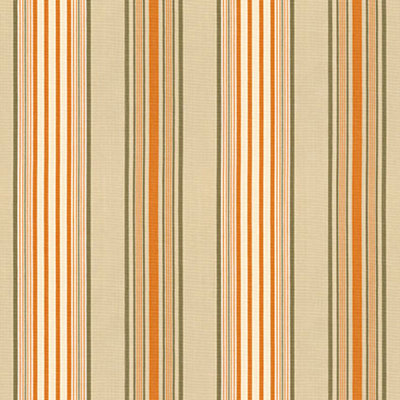 Saratoga Cotton Stripe Fabric