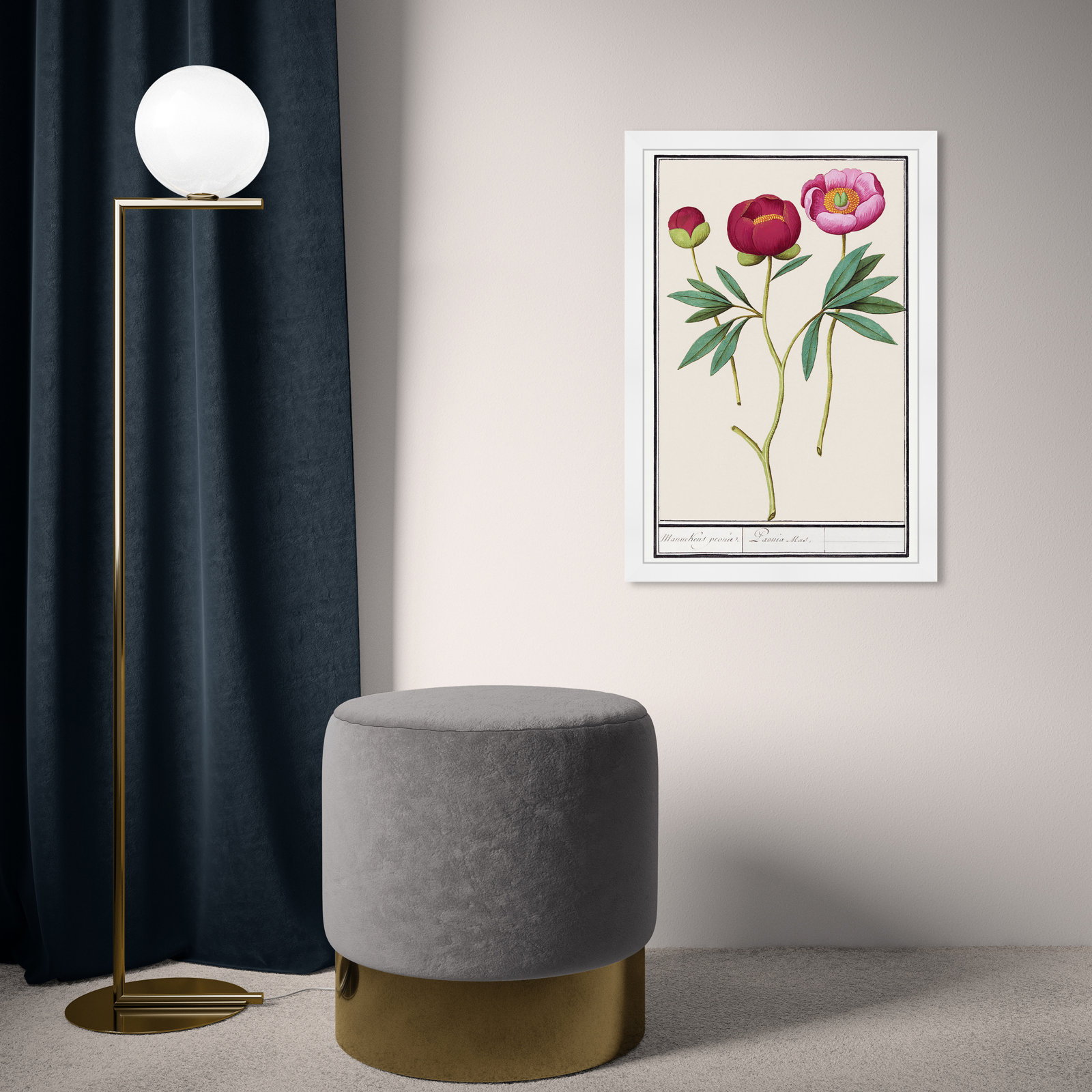 Red and Pink Peony Botanical Study Print, White, 26" H x 18" W