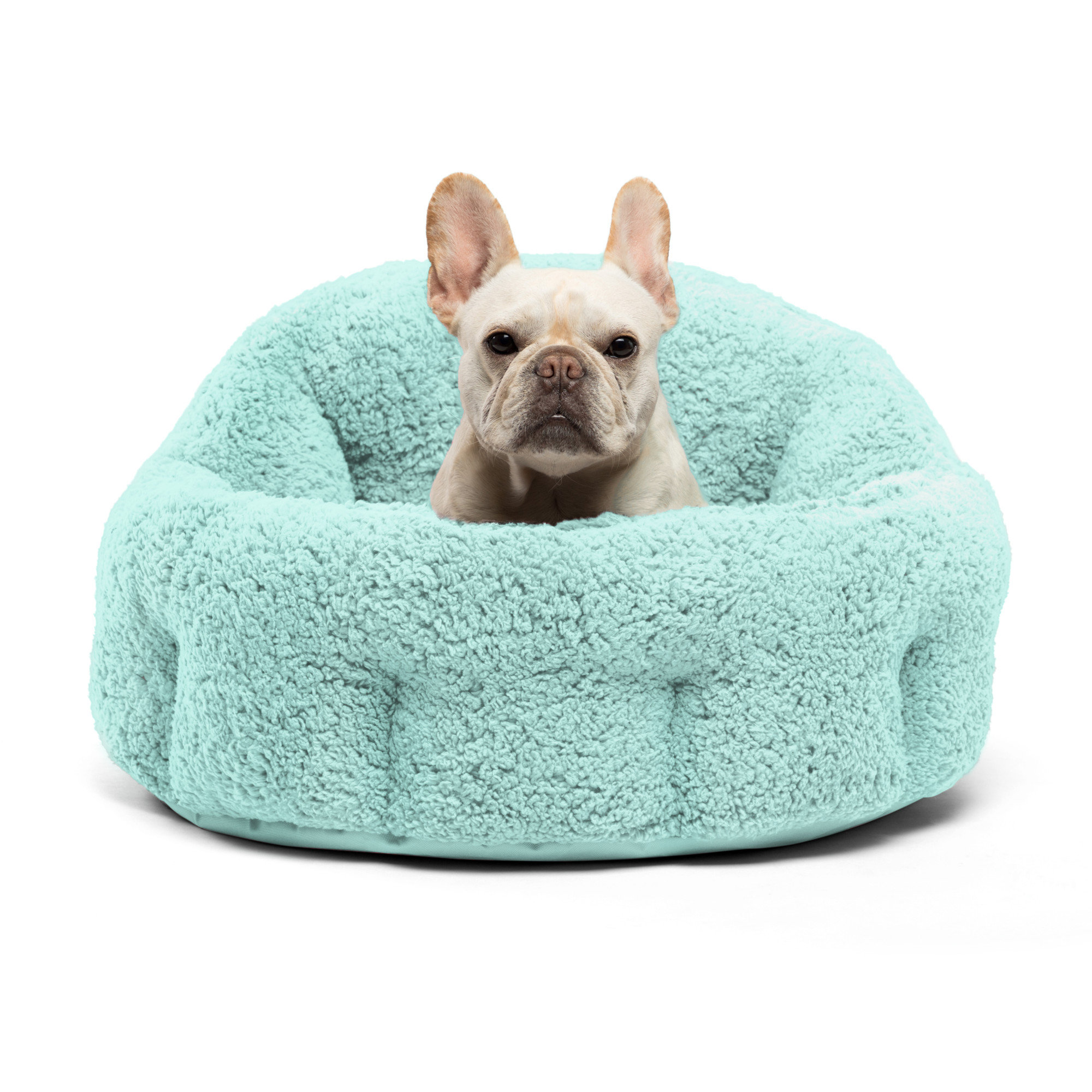 Discover Premium English Bulldog Beds