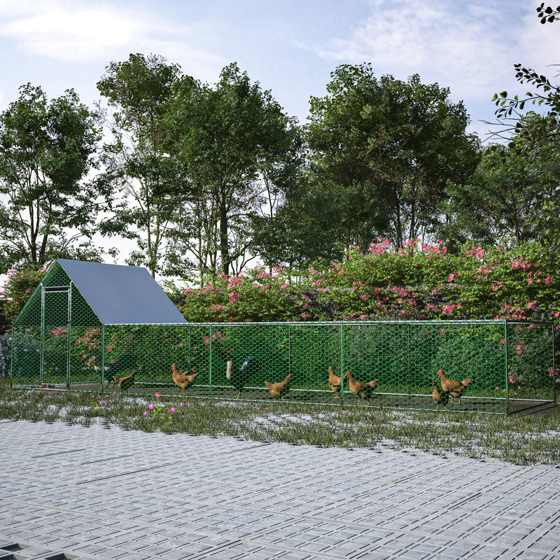 Cage à volailles en métal galvanisé de 7,92 m x 2,04 m x 2 m avec porte verrouillable et couverture étanche - Enclos à poules grillagé avec espace d'activité agrandi et porte sécurisée
