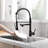 Fapully Pull Down Kitchen Faucet-61611599